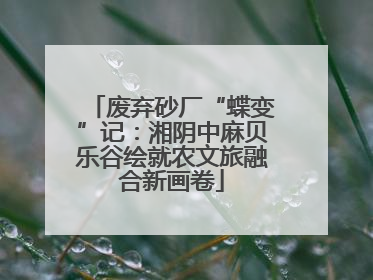 废弃砂厂“蝶变”记：湘阴中麻贝乐谷绘就农文旅融合新画卷