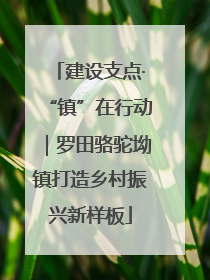 建设支点·“镇”在行动｜罗田骆驼坳镇打造乡村振兴新样板