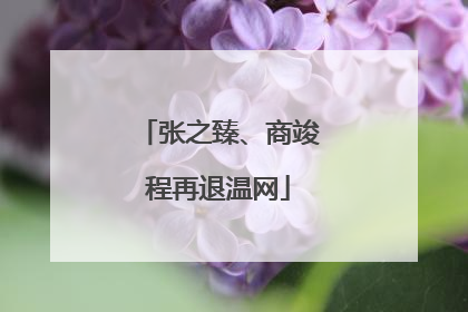 张之臻、商竣程再退温网