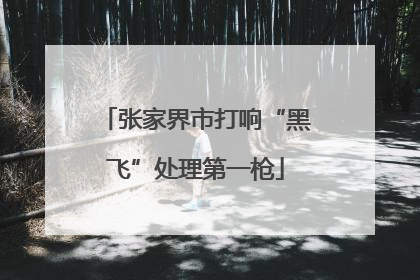 张家界市打响“黑飞”处理第一枪