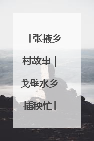 张掖乡村故事｜戈壁水乡插秧忙