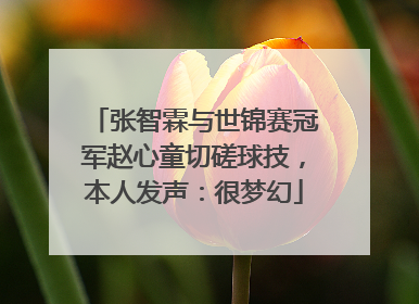 张智霖与世锦赛冠军赵心童切磋球技，本人发声：很梦幻