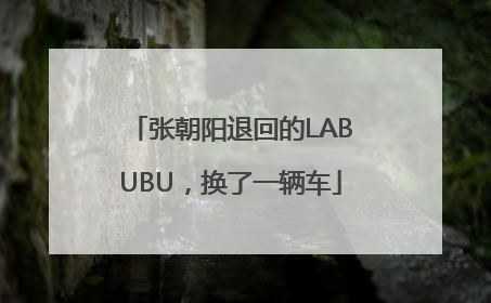 张朝阳退回的LABUBU，换了一辆车