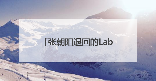 张朝阳退回的Labubu,换了一辆车