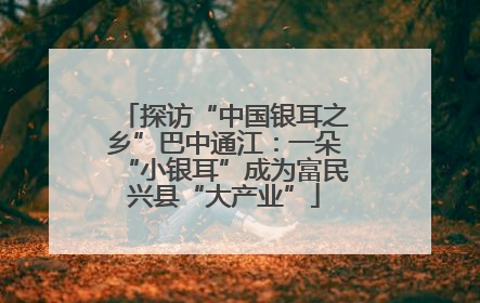 探访“中国银耳之乡”巴中通江：一朵“小银耳”成为富民兴县“大产业”