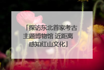探访东北首家考古主题博物馆 近距离感知红山文化
