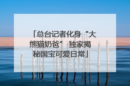 总台记者化身“大熊猫奶爸” 独家揭秘国宝可爱日常