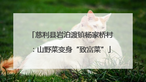 慈利县岩泊渡镇杨家桥村：山野菜变身“致富菜”