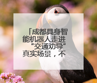 成都具身智能机器人走进“交通劝导”真实场景，不仅能科普交通法规还会讲冷笑话