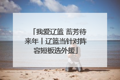 我爱辽篮 蓄芳待来年丨辽篮当针对阵容短板选外援