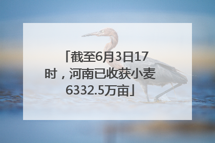 截至6月3日17时，河南已收获小麦6332.5万亩