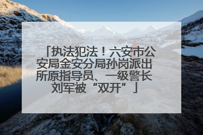 执法犯法！六安市公安局金安分局孙岗派出所原指导员、一级警长刘军被“双开”