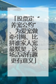 投票定“养宠公约”、为爱宠做牵引绳、比拼谁家人宠最默契，这场活动有趣更有意义