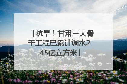 抗旱！甘肃三大骨干工程已累计调水2.45亿立方米