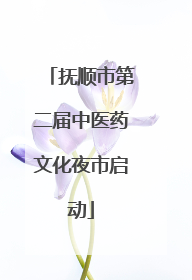 抚顺市第二届中医药文化夜市启动