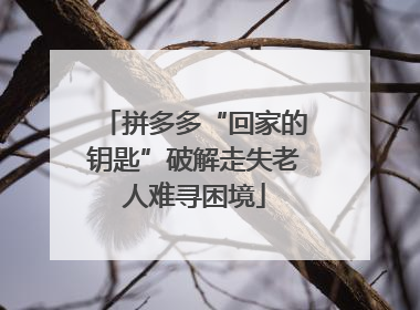 拼多多“回家的钥匙”破解走失老人难寻困境