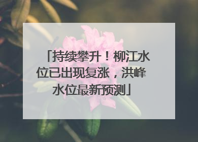 持续攀升！柳江水位已出现复涨，洪峰水位最新预测