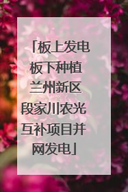 板上发电 板下种植 兰州新区段家川农光互补项目并网发电