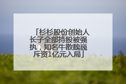 杉杉股份创始人长子全部持股被强执，知名牛散魏巍斥资1亿元入局