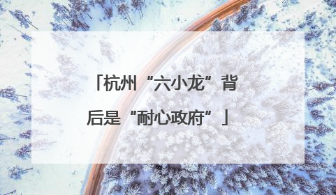 杭州“六小龙”背后是“耐心政府”