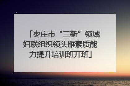 枣庄市“三新”领域妇联组织领头雁素质能力提升培训班开班