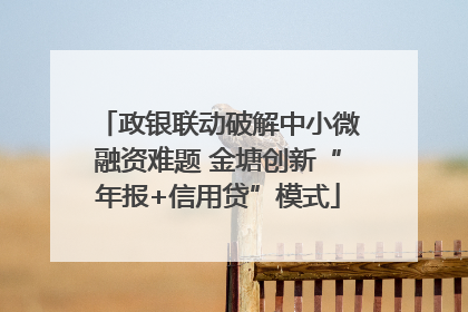 政银联动破解中小微融资难题 金塘创新“年报+信用贷”模式