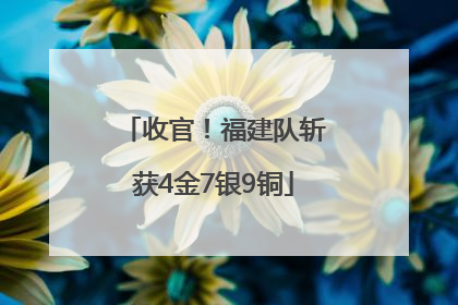 收官！福建队斩获4金7银9铜