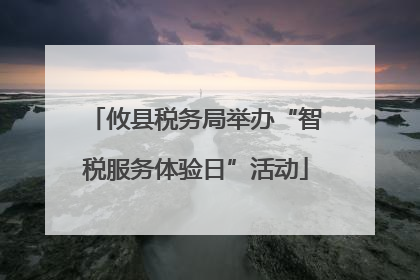 攸县税务局举办“智税服务体验日”活动