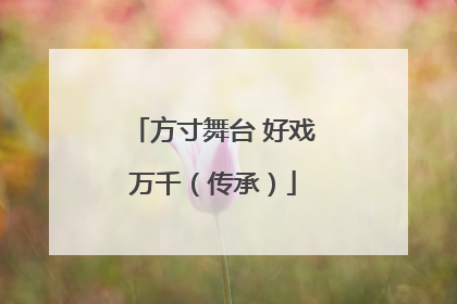 方寸舞台 好戏万千（传承）