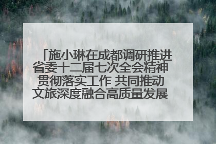施小琳在成都调研推进省委十二届七次全会精神贯彻落实工作 共同推动文旅深度融合高质量发展 加快打造支柱产业民生产业幸福产业