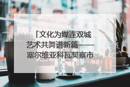 文化为媒连双城 艺术共舞谱新篇——塞尔维亚科瓦契察市代表团访问日照