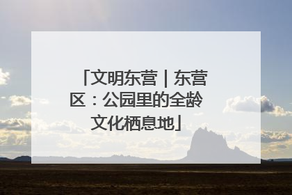 文明东营｜东营区：公园里的全龄文化栖息地