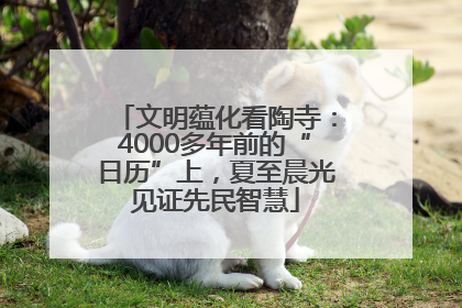 文明蕴化看陶寺：4000多年前的“日历”上，夏至晨光见证先民智慧
