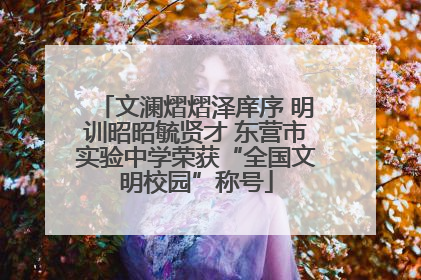 文澜熠熠泽庠序 明训昭昭毓贤才 东营市实验中学荣获“全国文明校园”称号