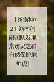 新物种+2！海南科研团队发现素贞灵芝和自然保护地壁虎