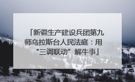 新疆生产建设兵团第九师乌拉斯台人民法庭：用“三调联动”解牛事