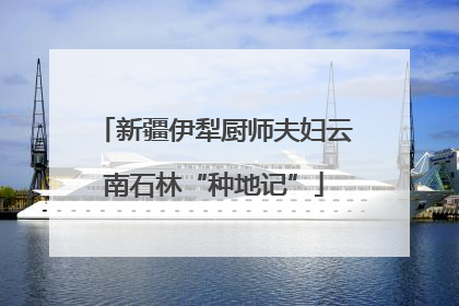 新疆伊犁厨师夫妇云南石林“种地记”