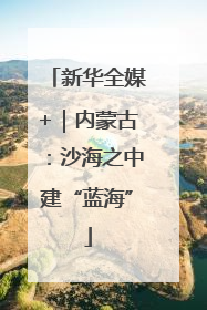 新华全媒+｜内蒙古：沙海之中建“蓝海”