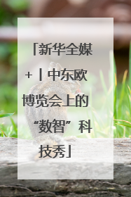 新华全媒+丨中东欧博览会上的“数智”科技秀