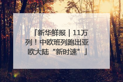 新华鲜报｜11万列！中欧班列跑出亚欧大陆“新时速”