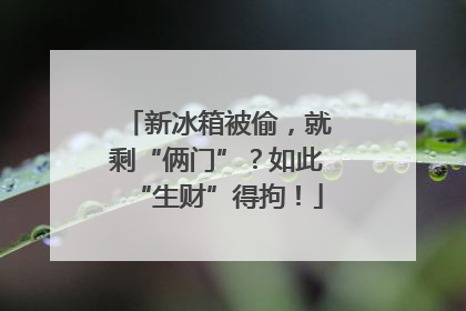 新冰箱被偷，就剩“俩门”？如此“生财”得拘！