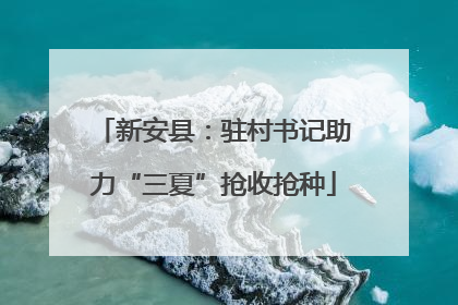 新安县：驻村书记助力“三夏”抢收抢种