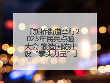 新桥街道举行2025年民兵点验大会 锻造国防建设“拳头力量”