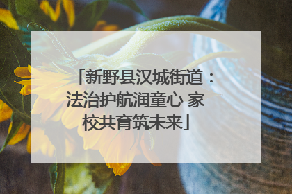 新野县汉城街道：法治护航润童心 家校共育筑未来