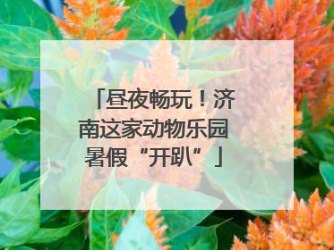 昼夜畅玩！济南这家动物乐园暑假“开趴”