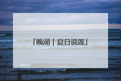 晚潮｜夏日说莲