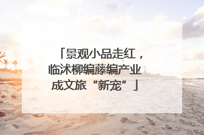 景观小品走红，临沭柳编藤编产业成文旅“新宠”