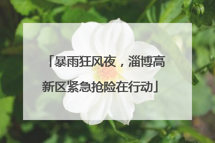 暴雨狂风夜，淄博高新区紧急抢险在行动
