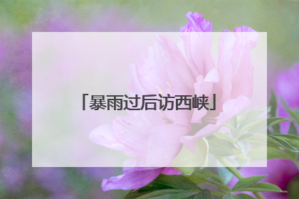 暴雨过后访西峡
