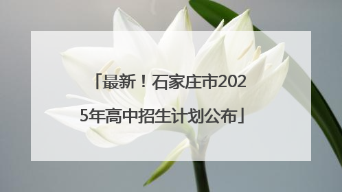 最新！石家庄市2025年高中招生计划公布